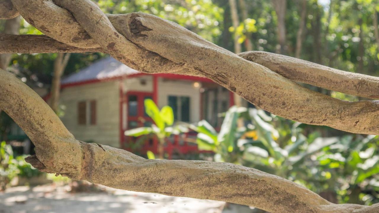 Отель Sarasea Koh Rong Samloem Ронгсанлем Экстерьер фото